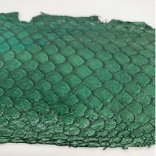 Eco friendly handmade soft gloss Dk Green Tilapia Fish Skin Leat