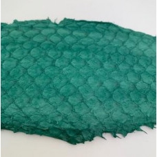 Eco friendly handmade soft matte Green Tilapia Fish Skin Leather