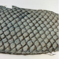 Eco friendly handmade soft gloss Grey Tilapia Fish Skin Leather