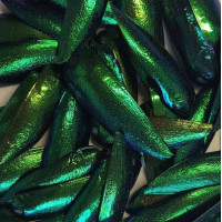 1 Pair Beetle Wings 1 Pair Beetle Wings