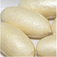 24x18mm Papier Mache Olive White 800