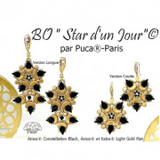 Star d'un Jour Kits